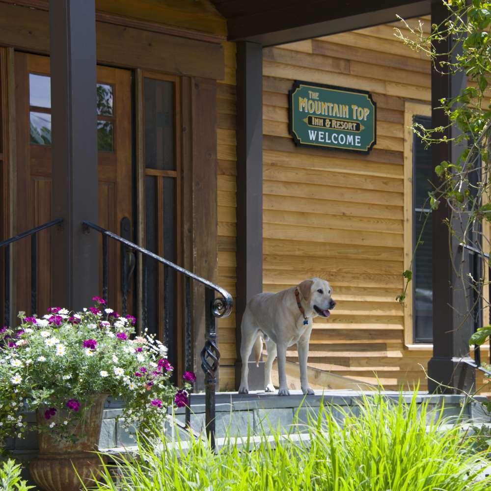 The Mountain Top Inn & Resort Chittenden Servis gambar